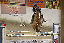 PT9_4800.JPG