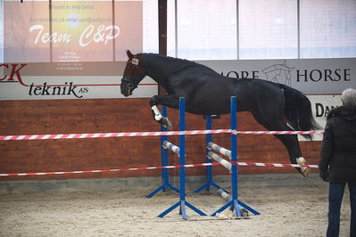 oldenborg kåring 2020
hingste løsspringning,under rytter
Nøgleord: højrups oreo