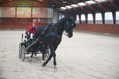 oldenborg kåring 2020
hingste løsspringning,under rytter
Nøgleord: asterix;anne-line lund