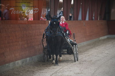 oldenborg kåring 2020
hingste løsspringning,under rytter
Nøgleord: asterix;anne-line lund