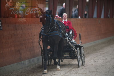 oldenborg kåring 2020
hingste løsspringning,under rytter
Nøgleord: asterix;anne-line lund