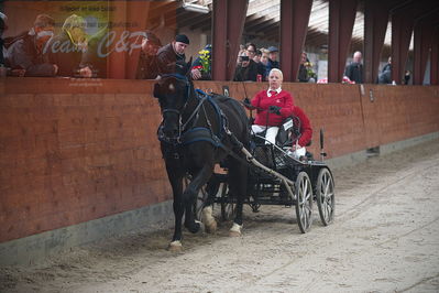 oldenborg kåring 2020
hingste løsspringning,under rytter
Nøgleord: asterix;anne-line lund