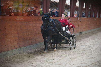 oldenborg kåring 2020
hingste løsspringning,under rytter
Nøgleord: asterix;anne-line lund