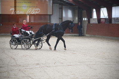 oldenborg kåring 2020
hingste løsspringning,under rytter
Nøgleord: asterix;anne-line lund