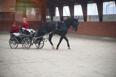 oldenborg kåring 2020
hingste løsspringning,under rytter
Nøgleord: asterix;anne-line lund