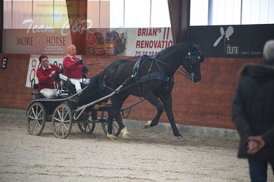 oldenborg kåring 2020
hingste løsspringning,under rytter
Nøgleord: asterix;anne-line lund