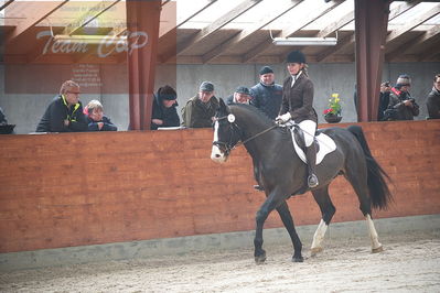 oldenborg kåring 2020
hingste løsspringning,under rytter
