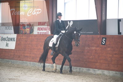 oldenborg kåring 2020
hingste løsspringning,under rytter
Nøgleord: alonso fjellerup