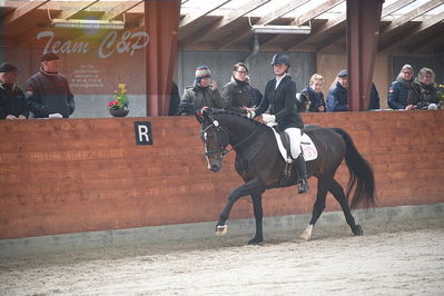 oldenborg kåring 2020
hingste løsspringning,under rytter
Nøgleord: alonso fjellerup