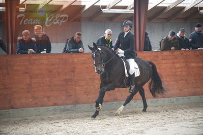 oldenborg kåring 2020
hingste løsspringning,under rytter
Nøgleord: alonso fjellerup