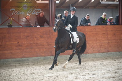 oldenborg kåring 2020
hingste løsspringning,under rytter
Nøgleord: alonso fjellerup