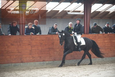 oldenborg kåring 2020
hingste løsspringning,under rytter
Nøgleord: elias af lundsager