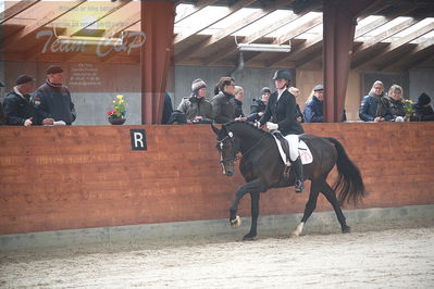 oldenborg kåring 2020
hingste løsspringning,under rytter
Nøgleord: alonso fjellerup