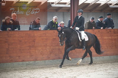 oldenborg kåring 2020
hingste løsspringning,under rytter
Nøgleord: alonso fjellerup