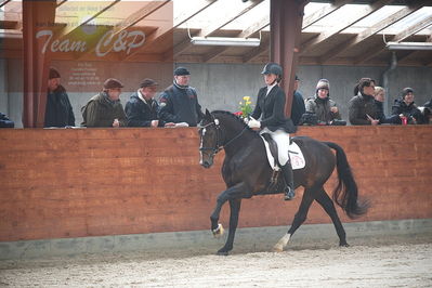 oldenborg kåring 2020
hingste løsspringning,under rytter
Nøgleord: alonso fjellerup