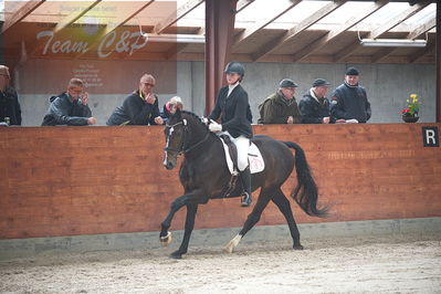 oldenborg kåring 2020
hingste løsspringning,under rytter
Nøgleord: alonso fjellerup