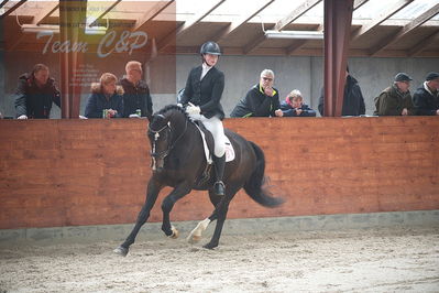 oldenborg kåring 2020
hingste løsspringning,under rytter
Nøgleord: alonso fjellerup