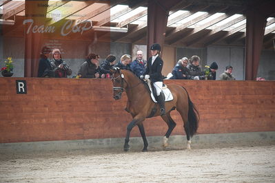 oldenborg kåring 2020
hingste løsspringning,under rytter
Nøgleord: rosengårdens vilano