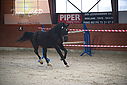 Filnavn=PT9_4919.JPG
Filstørrelse=235KiB
Dimensioner=902x602
Dato for tilføjelse=%29 %801, %2020 PT9_4919.JPG