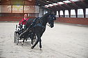 Filnavn=PT9_4977.JPG
Filstørrelse=224KiB
Dimensioner=902x602
Dato for tilføjelse=%29 %802, %2020 PT9_4977.JPG