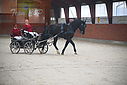 Filnavn=PT9_4991.JPG
Filstørrelse=225KiB
Dimensioner=902x602
Dato for tilføjelse=%29 %802, %2020 PT9_4991.JPG