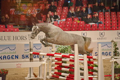 Dansk varmblod hingstekåring.
løsspringning
Nøgleord: cornet's cormint