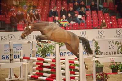 Dansk varmblod hingstekåring.
løsspringning
Nøgleord: fernando hh