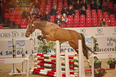 Dansk varmblod hingstekåring.
løsspringning
Nøgleord: go for love