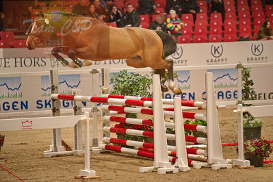 Dansk varmblod hingstekåring.
løsspringning
Nøgleord: go for love