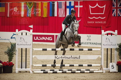 Dansk varmblod hingstekåring.
unghestemesterskab spring
Nøgleord: tekanava ask;maria bjørnkjær bennedsgaard