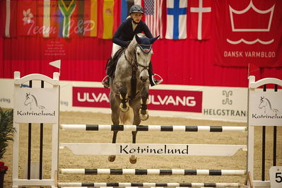 Dansk varmblod hingstekåring.
unghestemesterskab spring
Nøgleord: jennifer  fogh pedersen;kirkelodgaard's chasmin