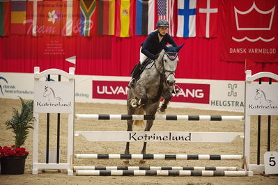 Dansk varmblod hingstekåring.
unghestemesterskab spring
Nøgleord: jennifer  fogh pedersen;kirkelodgaard's chasmin