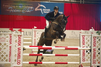 Dansk varmblod hingstekåring.
unghestemesterskab spring
Nøgleord: adam sparlund olesen;louisiana h