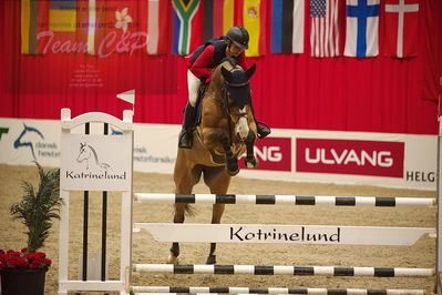 Dansk varmblod hingstekåring.
unghestemesterskab spring
Nøgleord: rikke haarstup kristensen;cc unik