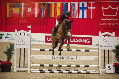 Dansk varmblod hingstekåring.
unghestemesterskab spring
Nøgleord: rikke haarstup kristensen;cc unik