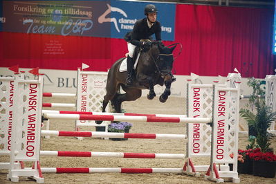 Dansk varmblod hingstekåring.
unghestemesterskab spring
Nøgleord: tobias theien;princip f damgaard