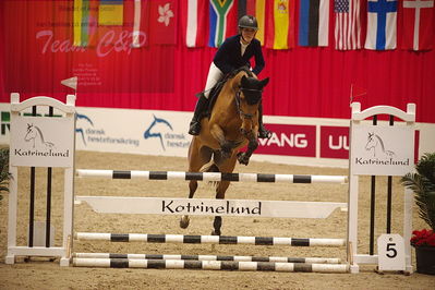 Dansk varmblod hingstekåring.
unghestemesterskab spring
Nøgleord: ida mundberg hansen;mundbergs bailando