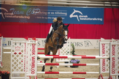 Dansk varmblod hingstekåring.
unghestemesterskab spring
Nøgleord: emilie mosegaard christiansen;syvhøjegårds balouis