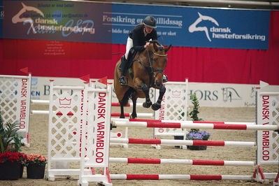 Dansk varmblod hingstekåring.
unghestemesterskab spring
Nøgleord: gitte dahl;caligraf dwb