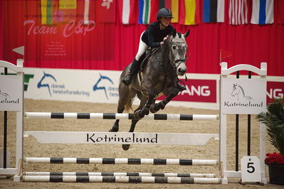 Dansk varmblod hingstekåring.
unghestemesterskab spring
Nøgleord: katrine højholt;syvhøjegårds caviar