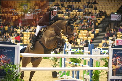 Dansk varmblod hingstekåring.
Stutteri Ask 145cm
Nøgleord: shane carey;hold it  against me