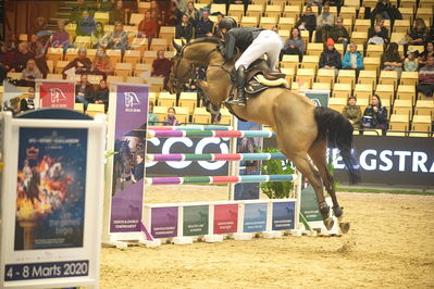 Dansk varmblod hingstekåring.
Stutteri Ask 145cm
Nøgleord: shane carey;hold it  against me