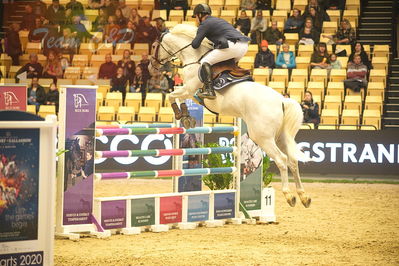 Dansk varmblod hingstekåring.
Stutteri Ask 145cm
Nøgleord: mike patrick leichle;aken utopia