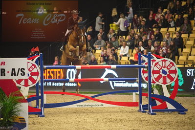 Dansk varmblod hingstekåring.
Stutteri Ask 145cm
Nøgleord: cecilie amdi juul;cuverdo z