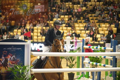 Dansk varmblod hingstekåring.
Stutteri Ask 145cm
Nøgleord: cecilie amdi juul;cuverdo z