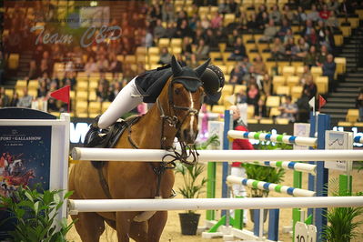 Dansk varmblod hingstekåring.
Stutteri Ask 145cm
Nøgleord: cecilie amdi juul;cuverdo z