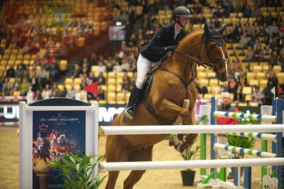 Dansk varmblod hingstekåring.
Stutteri Ask 145cm
Nøgleord: cecilie amdi juul;cuverdo z