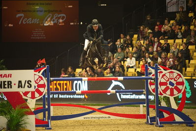 Dansk varmblod hingstekåring.
Stutteri Ask 145cm
Nøgleord: alex david gill;goldenstar