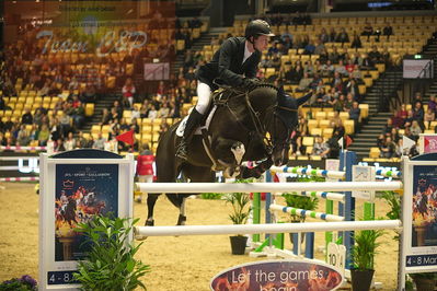 Dansk varmblod hingstekåring.
Stutteri Ask 145cm
Nøgleord: alex david gill;goldenstar