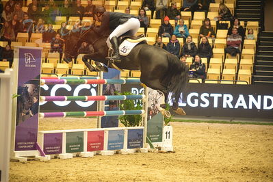 Dansk varmblod hingstekåring.
Stutteri Ask 145cm
Nøgleord: alex david gill;goldenstar